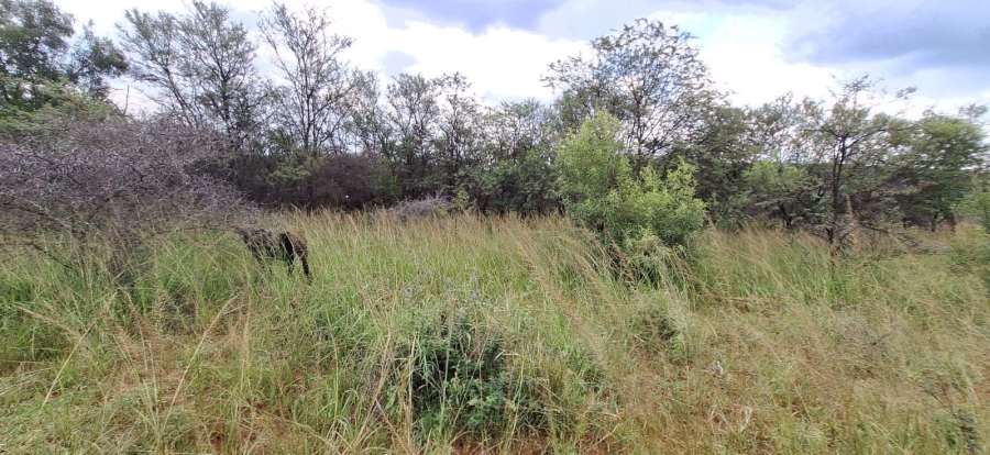 6 Bedroom Property for Sale in Koster North West